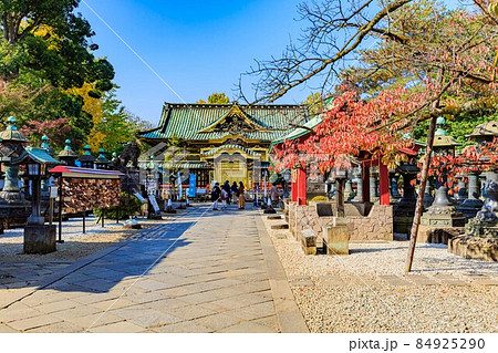 東京　台東区　上野公園にある上野東照宮　 84925290