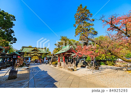 東京 台東区 上野公園にある上野東照宮 東京 台東区 上野公園にある上野東照宮 84925293