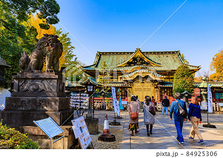 東京 台東区 上野公園にある上野東照宮 唐門と狛犬 東京 台東区 上野公園にある上野東照宮 唐門と狛犬 84925306