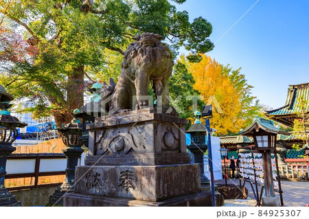 東京 台東区 上野公園にある上野東照宮 狛犬 東京 台東区 上野公園にある上野東照宮 狛犬 84925307
