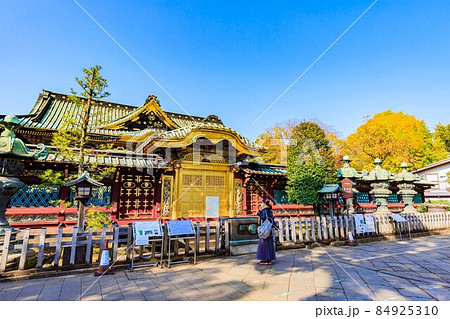 東京　台東区　上野公園にある上野東照宮　唐門と拝殿 84925310