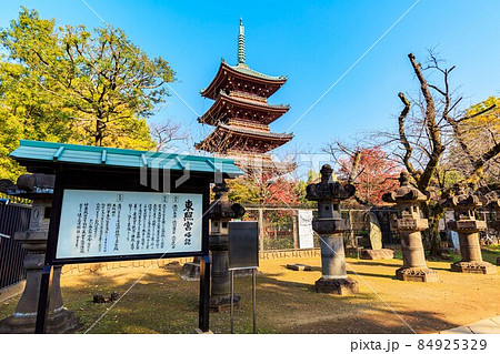 東京 台東区 上野公園にある寛永寺 五重塔 東京 台東区 上野公園にある寛永寺 五重塔 84925329
