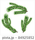 A set of different Green, realistic branch of fir. Fir branches. Isolated on white. Christmas illustration. 84925852