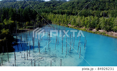 北海道美瑛町の青い池 北海道美瑛町の青い池 84926231