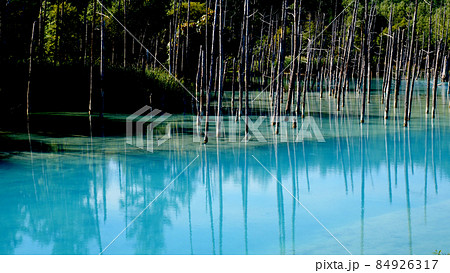 北海道美瑛町の青い池 84926317