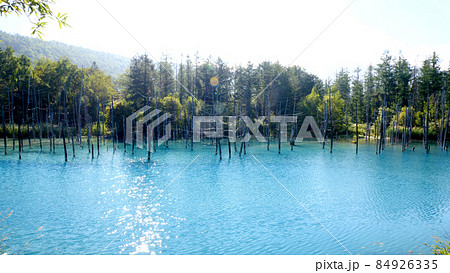 北海道美瑛町の青い池 84926335