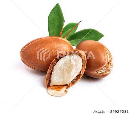 Three argan nuts with green leaves on an isolated white background. Chopped argan nut with a drop of oil. Whole and half Moroccan Argania Spinosa seeds for the production of oil 84927051