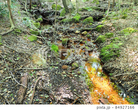 森の中の小さな小川 長者原自然研究路 大分県玖珠郡九重町田野 森の中の小さな小川 長者原自然研究路 大分県玖珠郡九重町田野 84927166