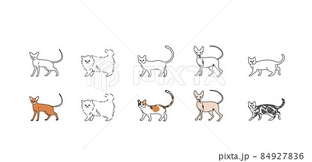 色々な猫のイラスト 84927836