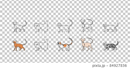 Illustrations of various cats 84927836