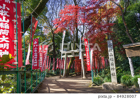 愛知県小牧市堀の内 小牧山稲荷神社 吉五郎稲荷社 愛知県小牧市堀の内 小牧山稲荷神社 吉五郎稲荷社 84928007