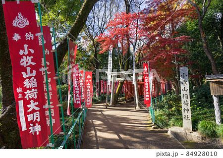 愛知県小牧市堀の内 小牧山稲荷神社 吉五郎稲荷社 愛知県小牧市堀の内 小牧山稲荷神社 吉五郎稲荷社 84928010