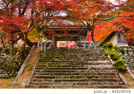 紅葉の名所 東近江の東光寺2021 秋 紅葉の名所 東近江の東光寺2021 秋 84928058