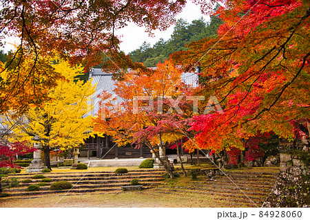 紅葉の名所　東近江の東光寺2021　秋 84928060