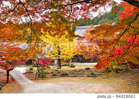 紅葉の名所　東近江の東光寺2021　秋 84928061