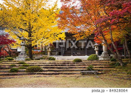 紅葉の名所 東近江の東光寺2021 秋 紅葉の名所 東近江の東光寺2021 秋 84928064