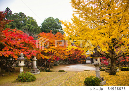 紅葉の名所　東近江の東光寺2021　秋 84928073