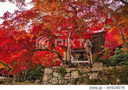 紅葉の名所　東近江の東光寺2021　秋 84928076