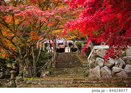 紅葉の名所 東近江の東光寺2021 秋 紅葉の名所 東近江の東光寺2021 秋 84928077