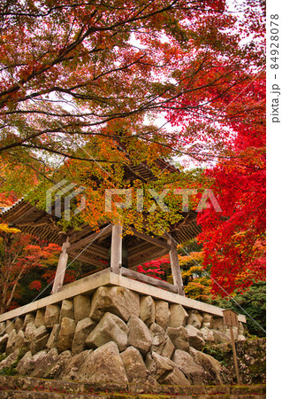 紅葉の名所 東近江の東光寺2021 秋 紅葉の名所 東近江の東光寺2021 秋 84928078