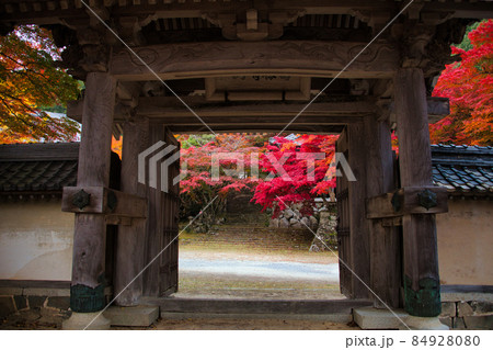 紅葉の名所 東近江の東光寺2021 秋 紅葉の名所 東近江の東光寺2021 秋 84928080