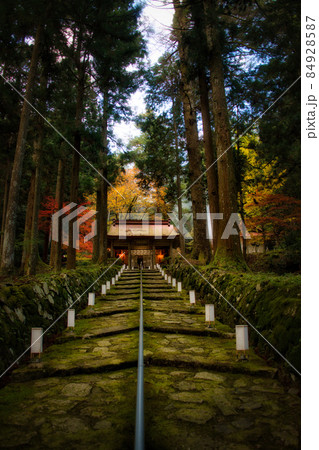 金勝山 金勝寺 2021年秋 84928587