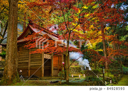 金勝山 金勝寺 2021年秋 84928593