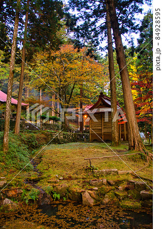 金勝山 金勝寺 2021年秋 84928595