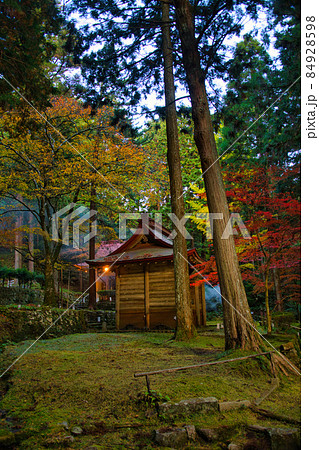 金勝山 金勝寺 2021年秋 84928598