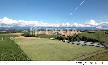 北海道美瑛町の丘 84928918