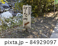 ばくちヶ渕（猿ケ城渓谷） 84929097