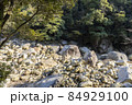 ばくちヶ渕（猿ケ城渓谷） 84929100