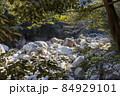 ばくちヶ渕（猿ケ城渓谷） 84929101