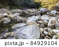 ばくちヶ渕（猿ケ城渓谷） 84929104
