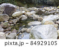 ばくちヶ渕（猿ケ城渓谷） 84929105