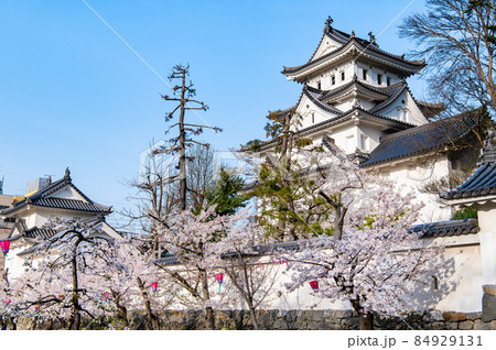 岐阜県大垣市　大垣城　～桜と天守～ 84929131