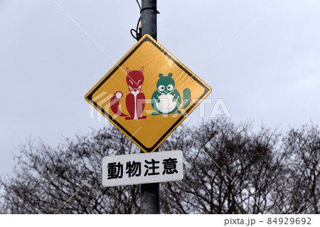 赤いキツネと緑のタヌキ道路標識 84929692