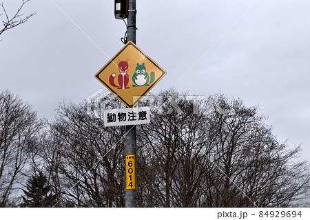 赤いキツネと緑のタヌキ道路標識 84929694
