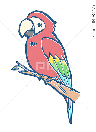 ベニコンゴウインコの手描きイラストのイラスト素材 [84930475] - PIXTA