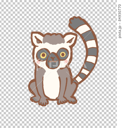 環尾狐猴的手繪插圖 環尾狐猴的手繪插圖 84930770