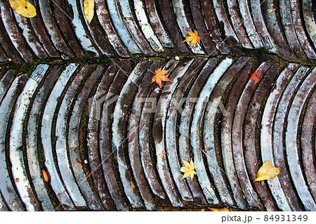 石川県小松市　那谷寺の庭の落ち葉 84931349