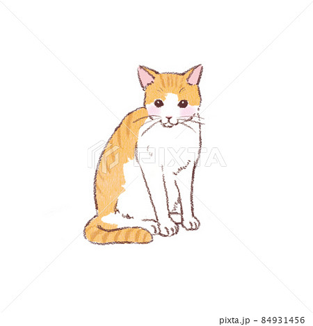 茶トラ白猫のイラスト素材 [84931456] - PIXTA