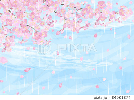 桜に空と雨の背景のイラスト素材