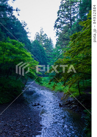 静岡県森町小國神社初夏の風景 静岡県森町小國神社初夏の風景 84932884