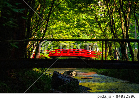 静岡県森町小國神社初夏の風景 静岡県森町小國神社初夏の風景 84932896