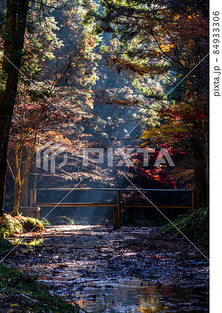 静岡県森町小國神社十二月の風景 静岡県森町小國神社十二月の風景 84933306