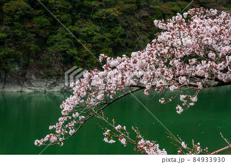 静岡県浜松市天竜区佐久間_佐久間ダム周辺の風景 84933930