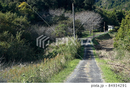 駅への小道いすみ線久我原駅 駅への小道いすみ線久我原駅 84934291
