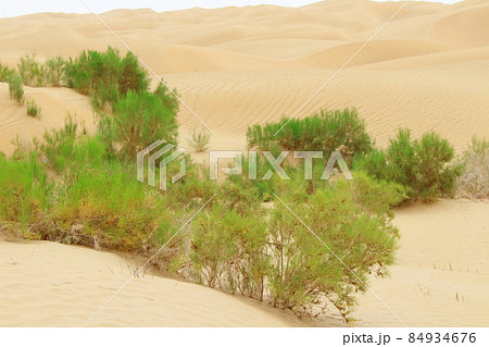 シルクロード紀行 美しきタクラマカン砂漠の周辺地域 その2112 シルクロード紀行 美しきタクラマカン砂漠の周辺地域 その2112 84934676