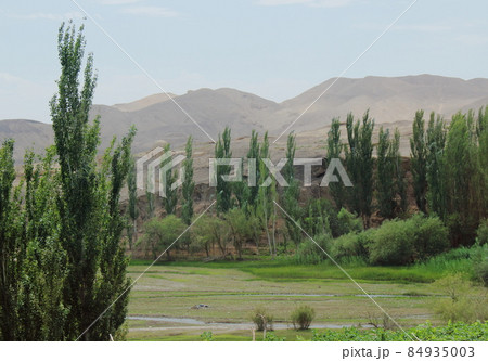 シルクロード紀行 美しきムパミール高原の山々 その2112 シルクロード紀行 美しきムパミール高原の山々 その2112 84935003